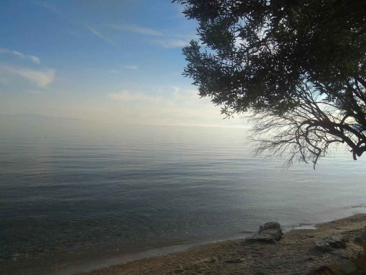 Villa Nadia Nea Skioni Bagian luar foto