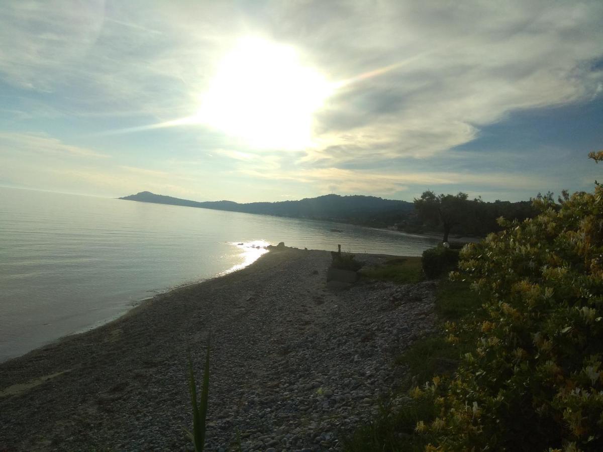 Villa Nadia Nea Skioni Bagian luar foto